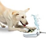 Automatic Outdoor Dog Water Fountain - Image 7