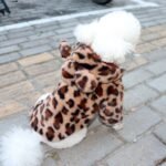 Winter Velvet Dog Hoodie: Warm & Stylish Apparel - Image 5