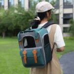 Lightweight 10 KG Pet Leisure Backpack for Small Cats & Dogs - Image 5