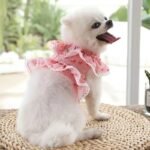 Dog Cat Harness Leash Set - Image 4