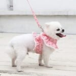 Dog Cat Harness Leash Set - Image 5