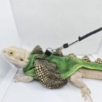 Stylish Bearded Dragon Vest Harness with Leash