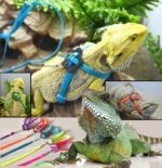 Adjustable Reptile Harness with Leash - Soft Polyester Walking Strap for Lizards and Turtles - Image 2