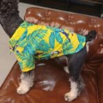 Floral Summer Pet Shirts in Hawaiian Style for Small Dogs and Cats - Image 4
