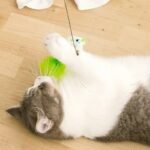 Interactive Feathered Bird Wand Toy with Suction Cup for Cats - Image 4