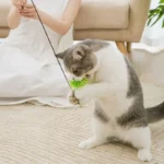 Interactive Feathered Bird Wand Toy with Suction Cup for Cats - Image 5