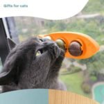 3-in-1 Rotating Catnip Ball Teeth-Cleaning & Wall-Mounted Cat Toy - Image 4