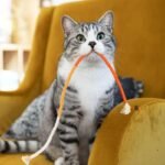 Interactive Cotton Rope Cat Teaser Toy Durable & Catnip-Scented - Image 5