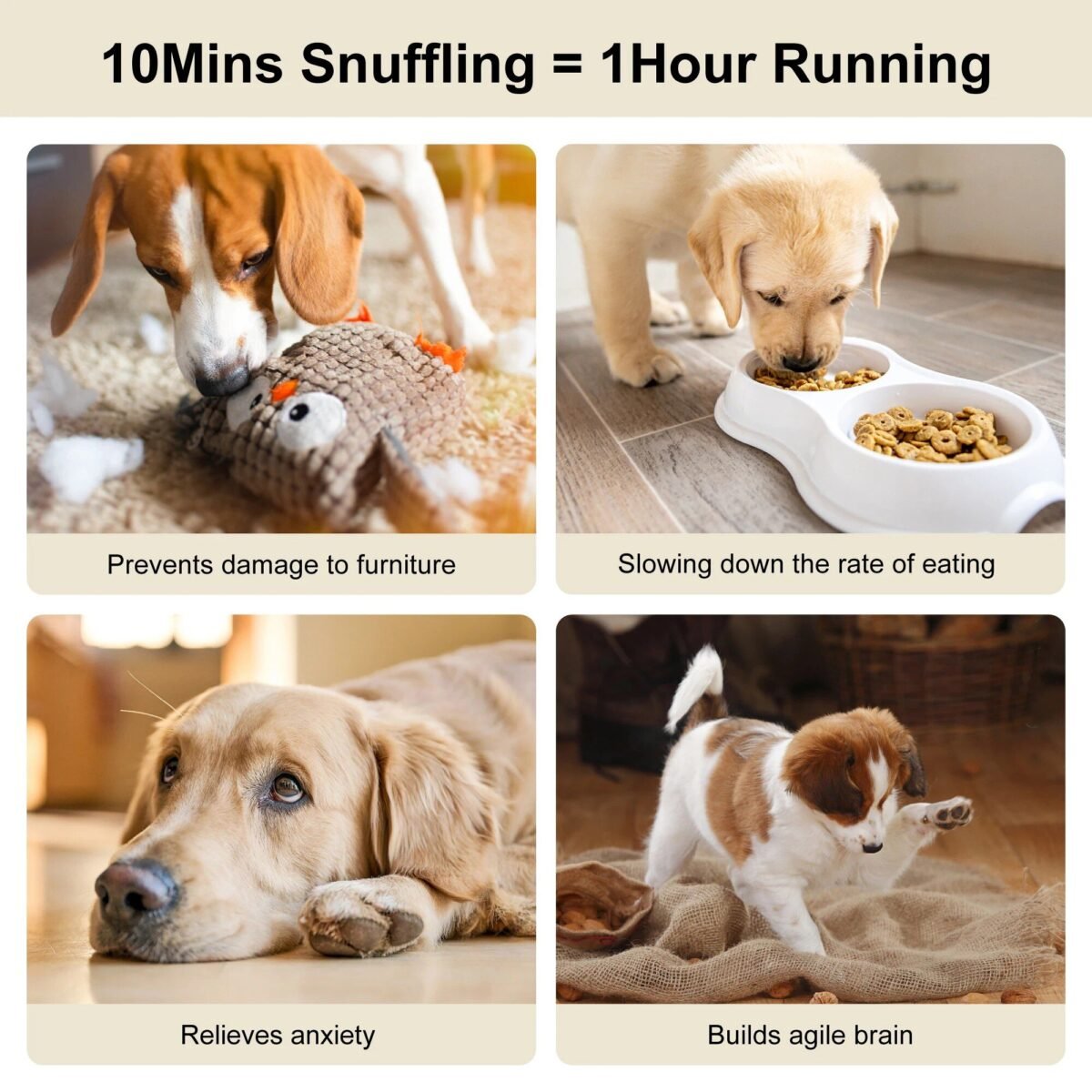 Interactive 2-in-1 Dog Puzzle Toy with Squeaking Bow - Image 3