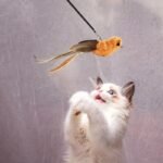 Chirpy Feather Bird Cat Teaser Toy with Bell - Interactive Kitten Play Wand - Image 4