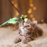 Chirpy Feather Bird Cat Teaser Toy with Bell - Interactive Kitten Play Wand - Image 5