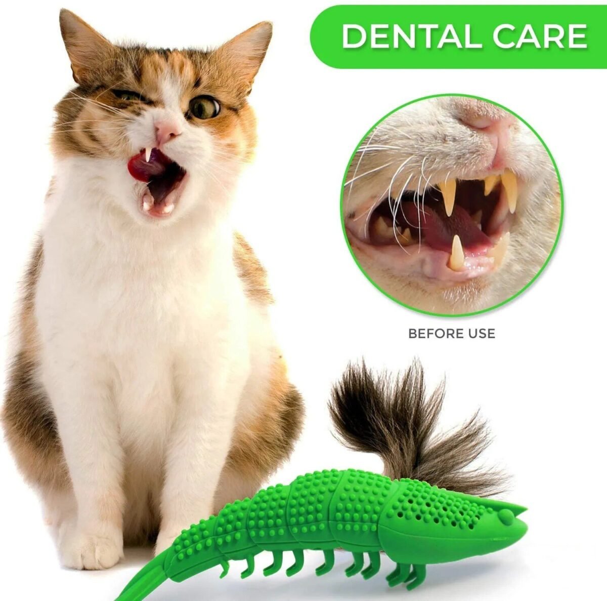 Interactive Cat Dental Chew Toy: Durable Rubber, Teeth Cleaning and Play - Image 4