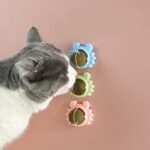 Interactive Catnip Crab Toy: Dental Health & Playful Engagement for Cats - Image 3
