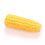 Durable Corn-Shaped Squeaky Latex Toy for Small Dogs - Ideal for Chewing & Training - Image 5