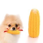 Durable Corn-Shaped Squeaky Latex Toy for Small Dogs - Ideal for Chewing & Training