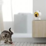Interactive Cat Laser Toy - Rechargeable & App-Controlled Light Machine - Image 4
