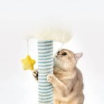 Starry Night Cat Scratcher & Climber - Image 3