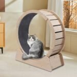 Wooden Round Cat Exercise Wheel All-Natural & Stylish - Image 9