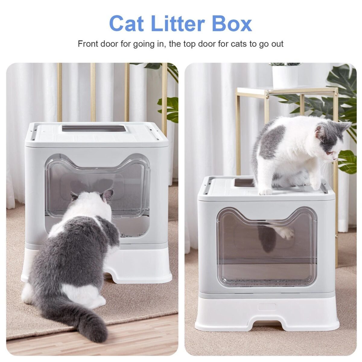 Cat Litter Box with Lid - Image 7