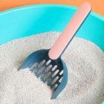 Cat Litter Scoop - Image 2