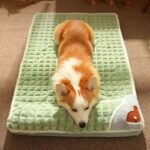 Cozy Plaid Pet Bed for Small to Medium Dogs and Cats - Image 4