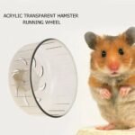 Transparent Acrylic Hamster Running Wheel - Image 8