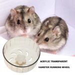 Transparent Acrylic Hamster Running Wheel - Image 7