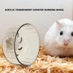 Transparent Acrylic Hamster Running Wheel - Image 4