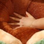 Cozy Petal-Themed Cotton Nest Bed for Cats and Small Dogs - Image 3