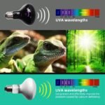 Multi-Spectrum Pet Heating Lamp for Reptiles and Amphibians - Image 5