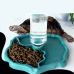 2-in-1 Automatic Reptile Feeder: Water and Food Dispenser for Lizards, Turtles, and Amphibians - Image 2