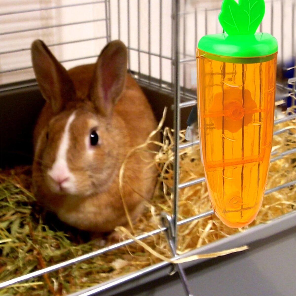 Adorable Carrot-Shaped 500ml Pet Water Dispenser - Image 6