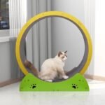 Wooden Cat Fitness Wheel: Silent Exercise Treadmill and Climbing Frame for Cats - Image 3