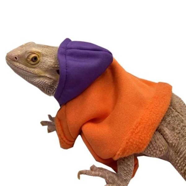 Reptile Hoodie for Bearded Dragons and Geckos