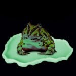 Multi-Color Reptile Feeding Dish - Image 4