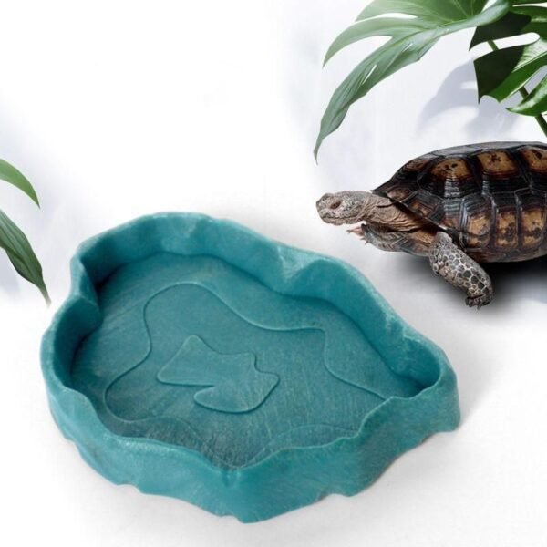Multi-Color Reptile Feeding Dish