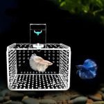 Crystal Clear Acrylic Aquarium Incubator - Compact Fish & Shrimp Breeding Box