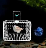Crystal Clear Acrylic Aquarium Incubator - Compact Fish & Shrimp Breeding Box