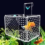 Crystal Clear Acrylic Aquarium Incubator - Compact Fish & Shrimp Breeding Box - Image 3