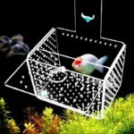 Crystal Clear Acrylic Aquarium Incubator - Compact Fish & Shrimp Breeding Box - Image 4