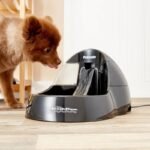 Advanced Purifying Pet Water Fountain with Quiet Operation - Image 4