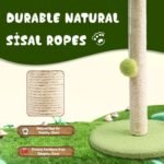 Green Leafy Cat Scratching Post with Sisal Rope and Playful Balls - Image 4