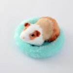 Cozy Fleece Small Pet Nest - Soft, Warm Bed for Hamsters, Rabbits, and Guinea Pigs - Image 6