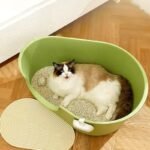 Spacious Semi-Enclosed Cat Litter Box