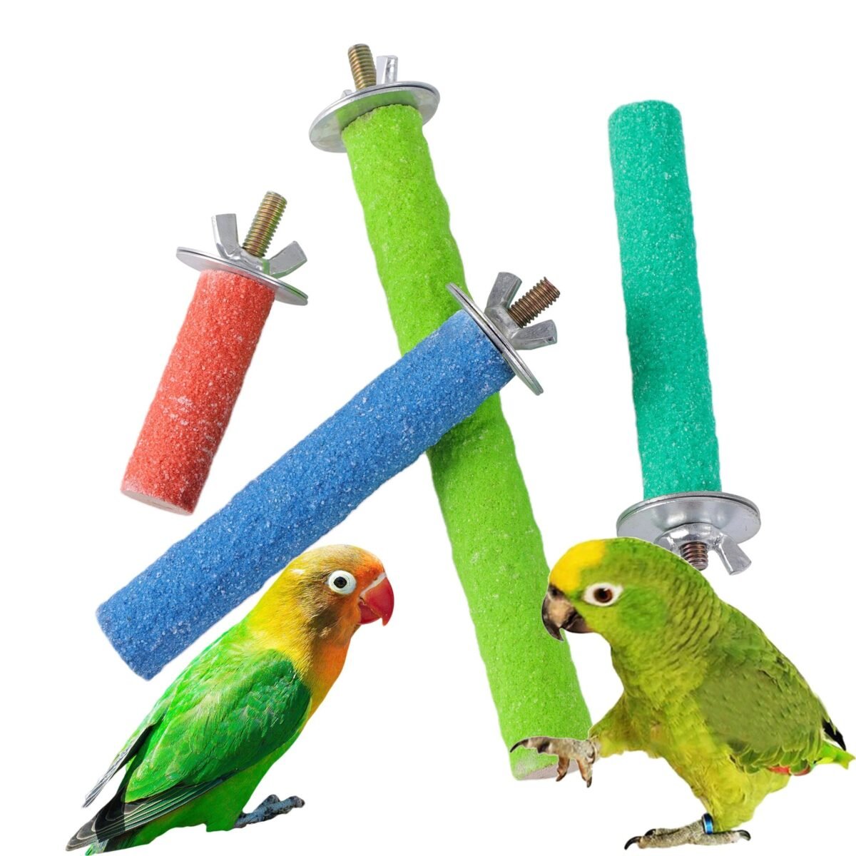Colorful Wooden Parrot Perching Station - Image 2