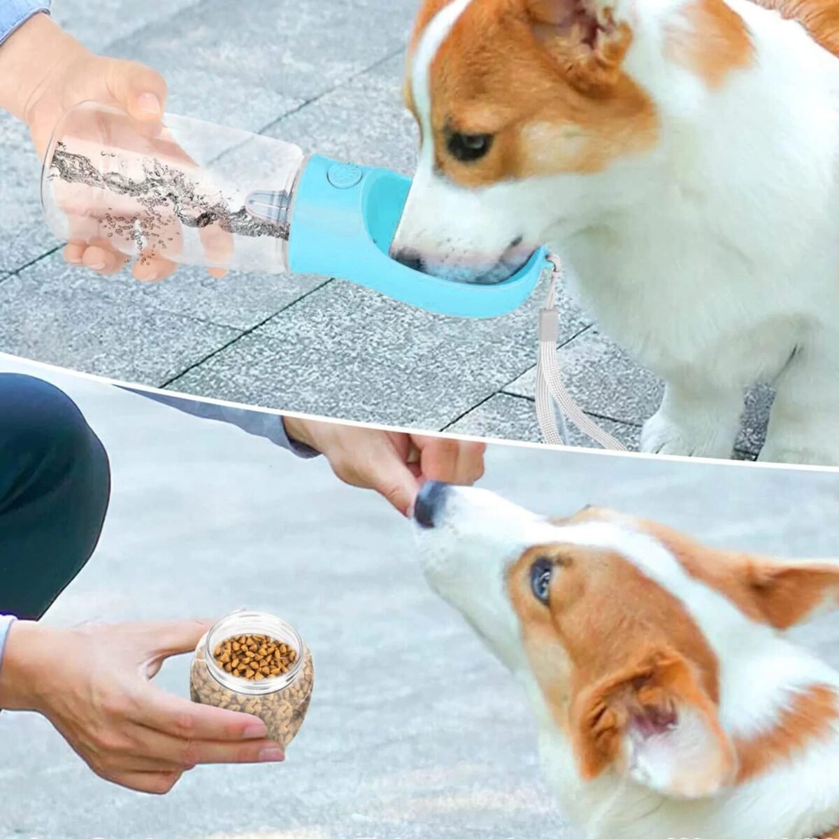 20402-4679d4.jpg Portable Multifunction Dog Water Bottle with Integrated Bowl - Image 5