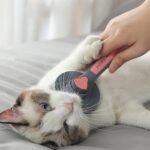 Self-Cleaning Cat & Dog Grooming Comb - Image 2