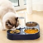 3 in 1 Pet Dog Feeder Bowl - Image 7