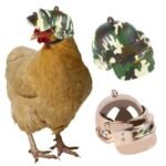 Adjustable Pet Chicken Helmet with Protective Visor - Image 3