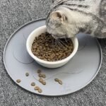Pet Placemat Dog Bowl - Image 7